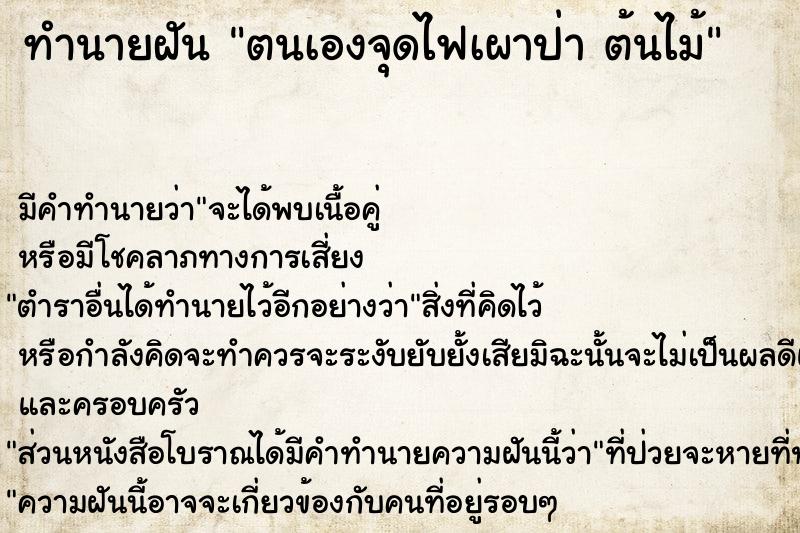 ทำนายฝัน ตนเองจุดไฟเผาป่า ต้นไม้